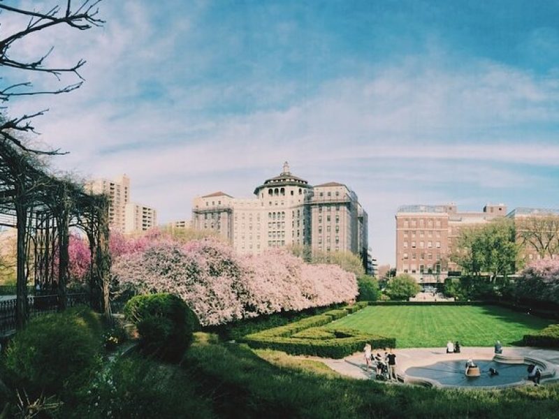 Upper Central Park Running Tour