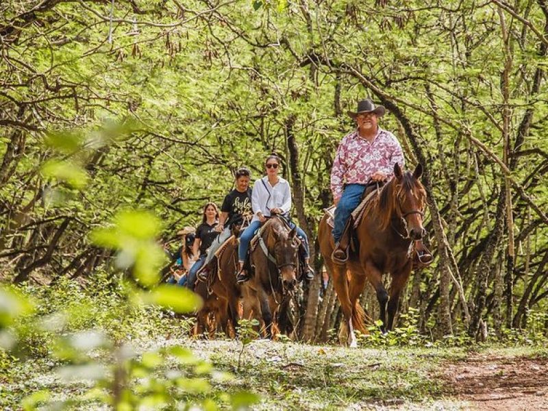 1 Hour Scenic Horseback Ride