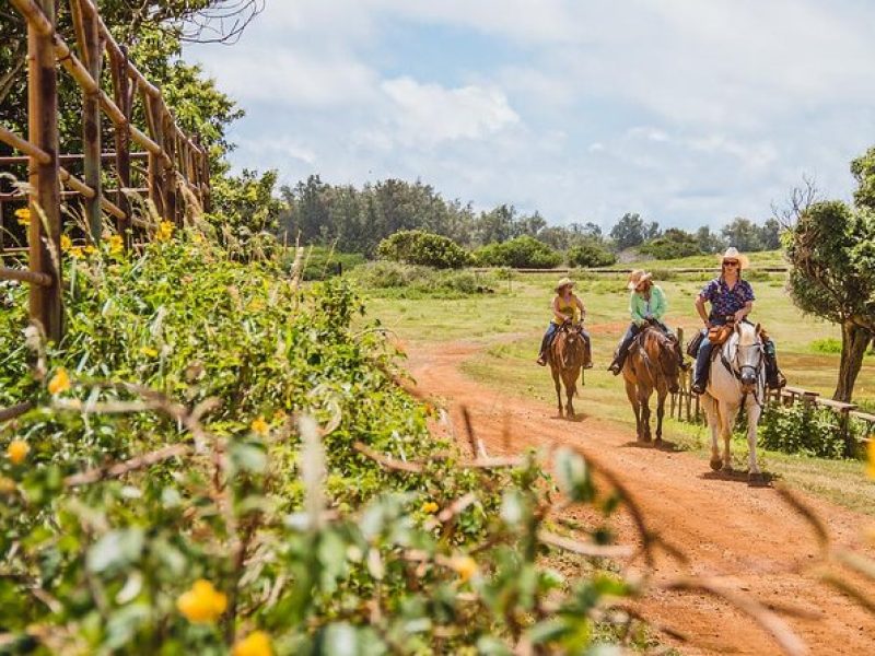 Horseback Ride Like an Authentic Paniolo in Kahuku