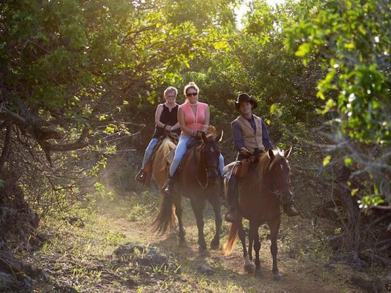 Oahu Sunset Horseback Ride