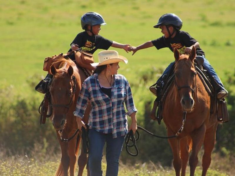 Pony Rides For Kids