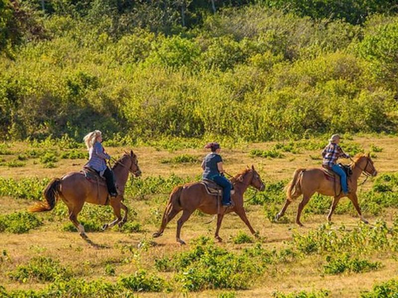 Private Advanced Trail Ride