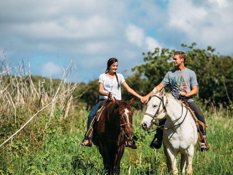 Private Sweetheart Horseback Ride