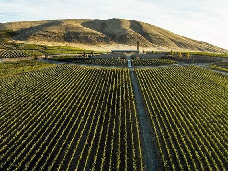 Private Personal Winery Tours in Walla Walla