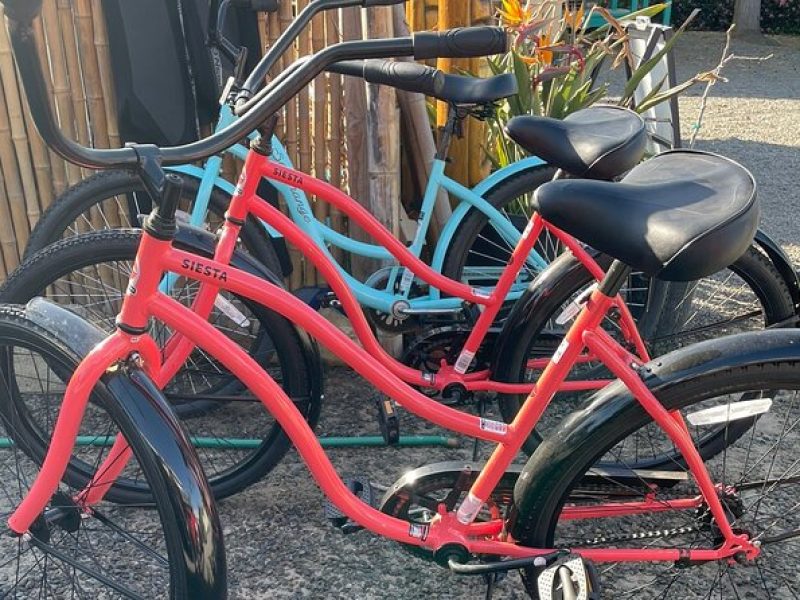 Beach Cruiser Bike Rental All Day