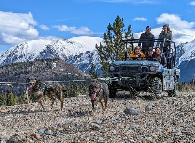 Summer Sled Dog Remote Yukon Camp & Summit Tour