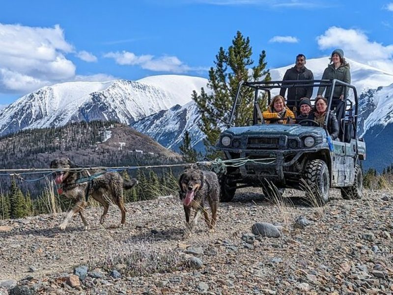 Summer Sled Dog Remote Yukon Camp & Summit Tour