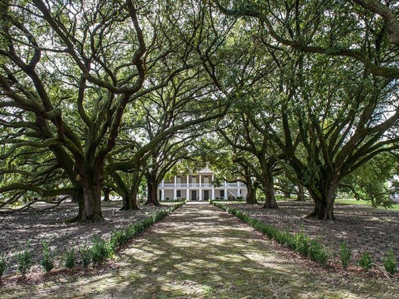 Whitney Plantation Tour with Transportation from New Orleans