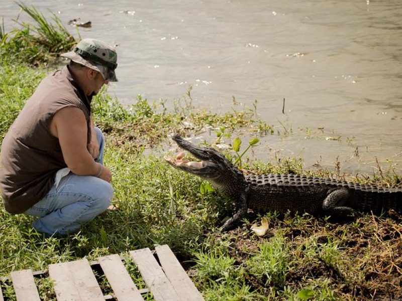 Ultimate Swamp Tour Experience with Transportation from New Orleans