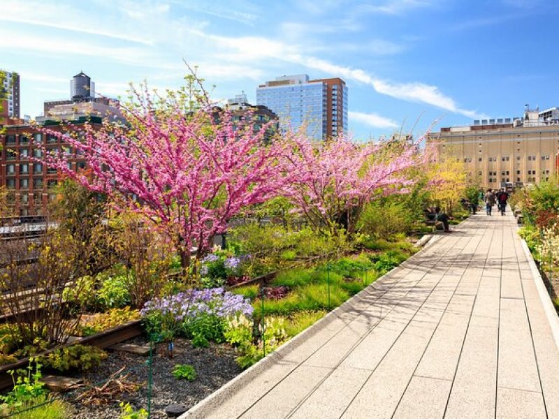 Private Tour of High Line, Chelsea, Hudson Yards and Edge