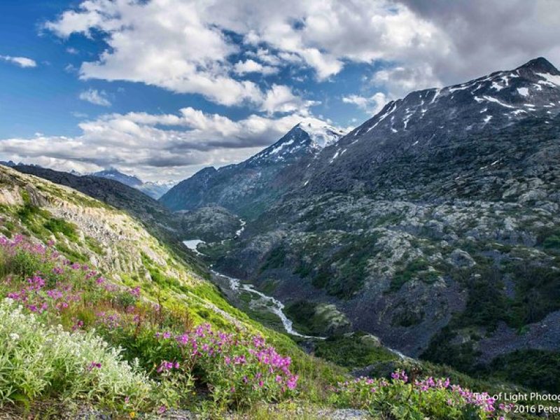 Yukon Suspension Bridge and Summit Tour