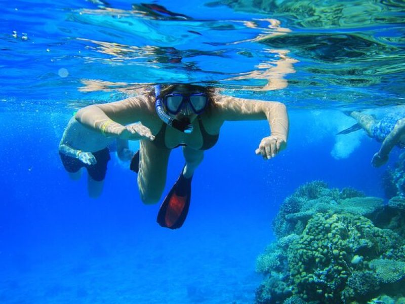 Private Snorkeling Activity in Key Largo