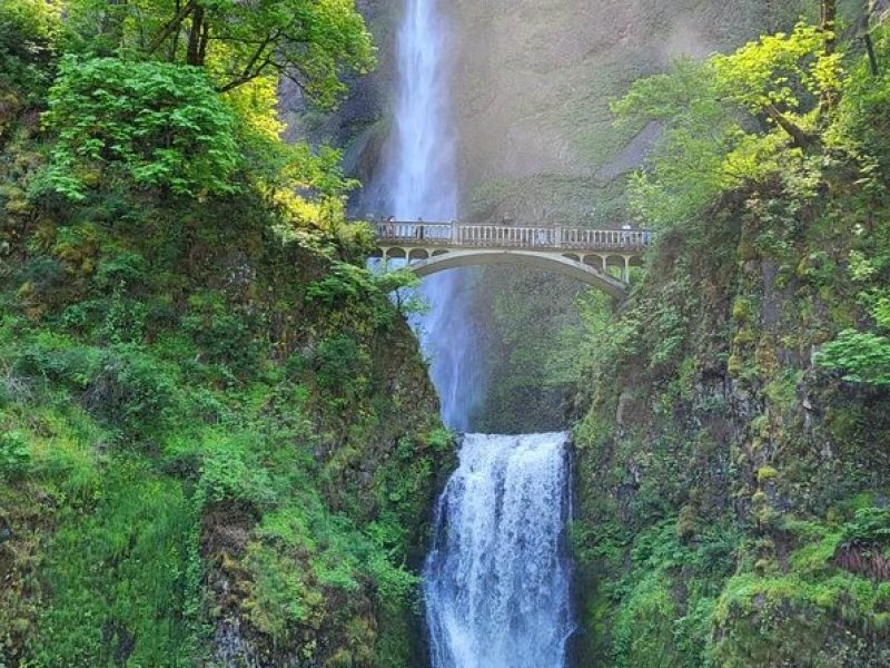 Portland City Tour + Waterfall Tour Combo