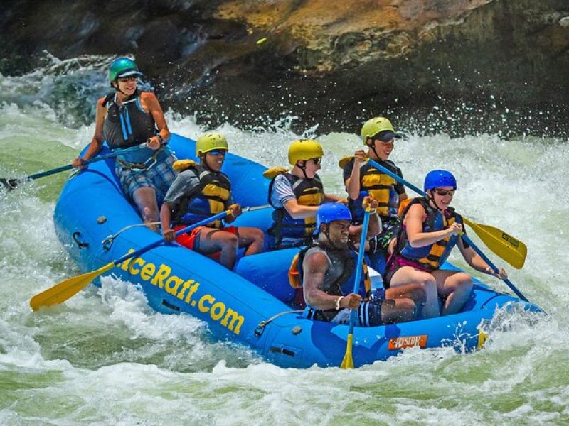 Half Day New River Gorge Whitewater Rafting