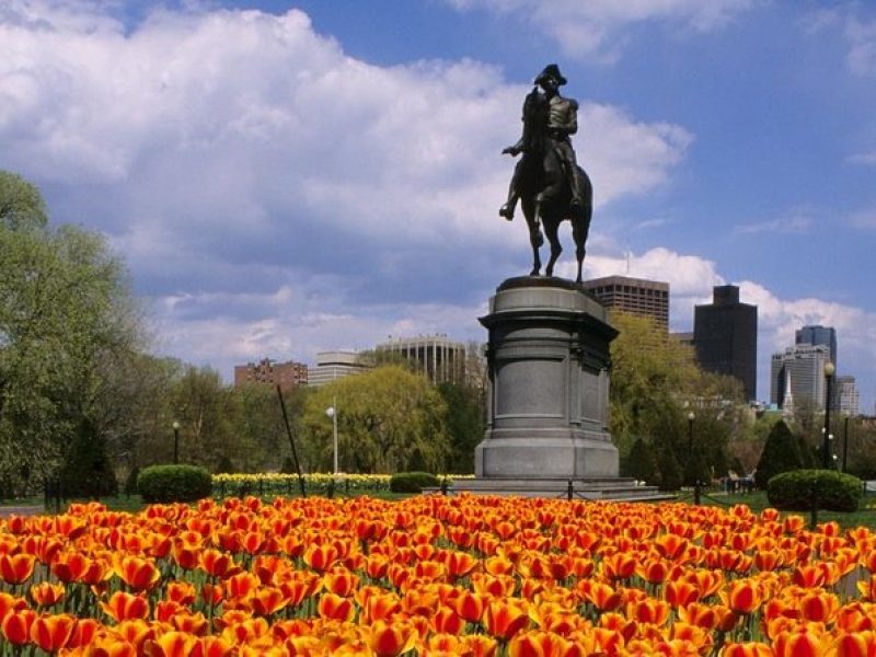 Private Customized Walking Tour of Boston