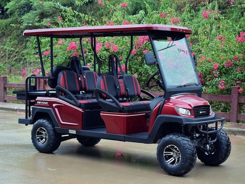 Multi Day 6 Passenger LSV Golf Cart Rental