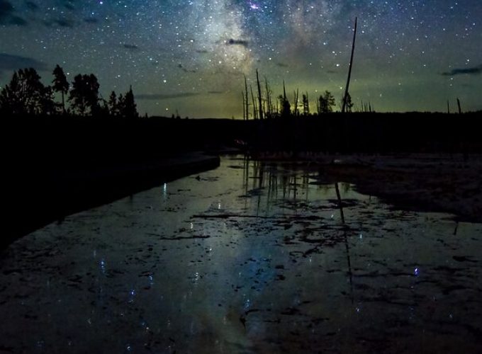 Yellowstone Private Wildlife Tour