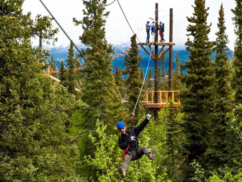 Denali Park Zipline Adventure