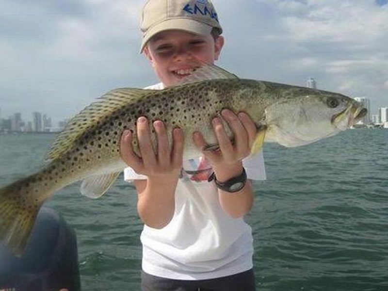 6-hour Miami Inshore Fishing trip