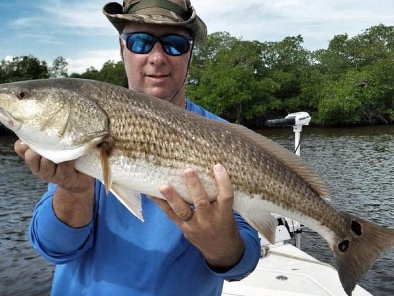 Sarasota Inshore Fishing Charters