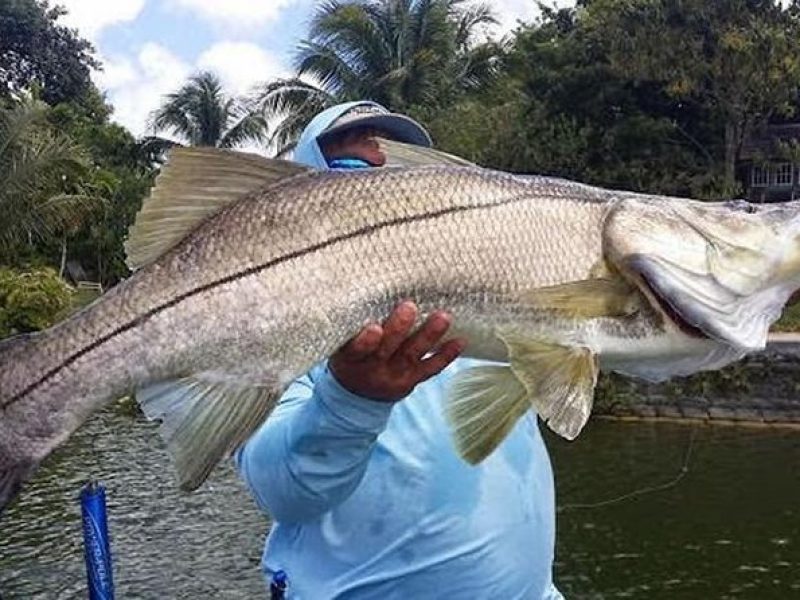 Homosassa Inshore Fishing Charters