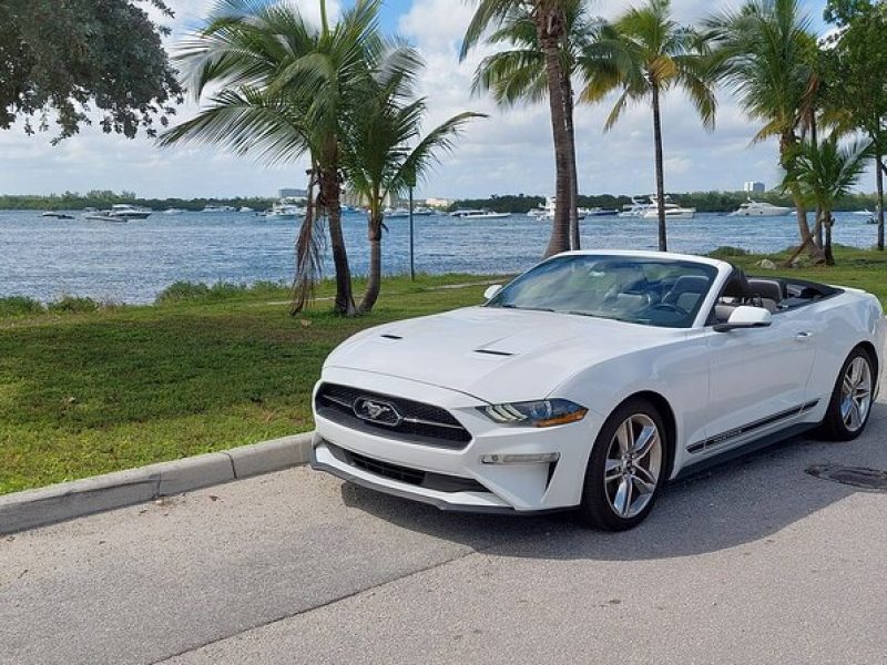 Half-Day Miami Tour by Convertible Mustang