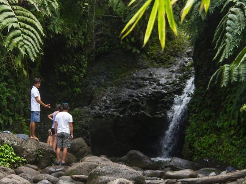 Oahu friendly hiking experience