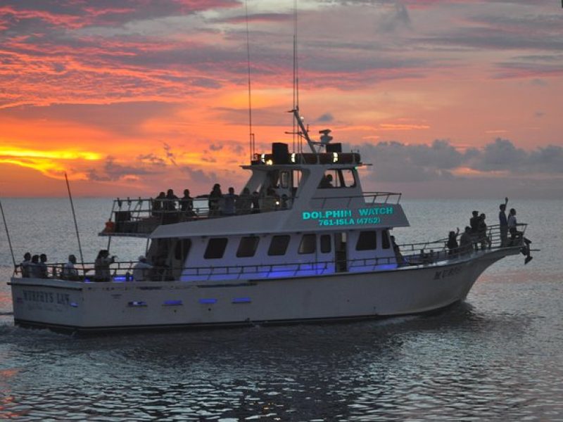 90-Minute Dolphin Watch Tour of South Padre Island