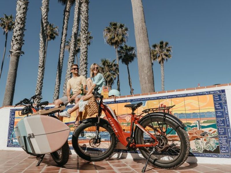 3 Day Electric Bike Rental (upto 4 Ebikes) Fort Lauderdale