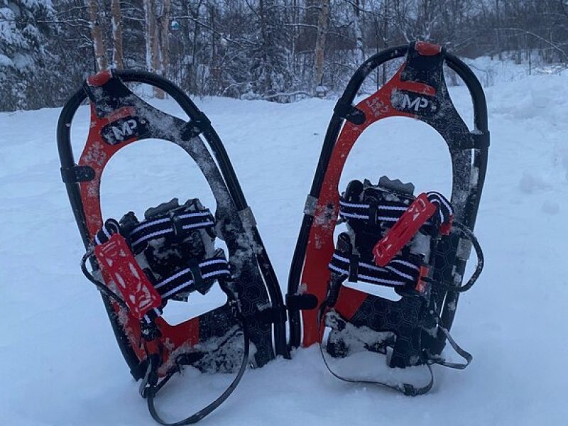 Winter Family Fun Day in Palmer Alaska