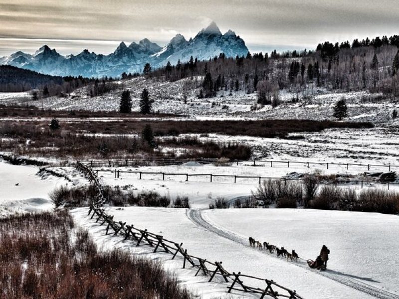 Jackson Hole Full-Day Dog Sledding and Snowmobiling Combo Trip