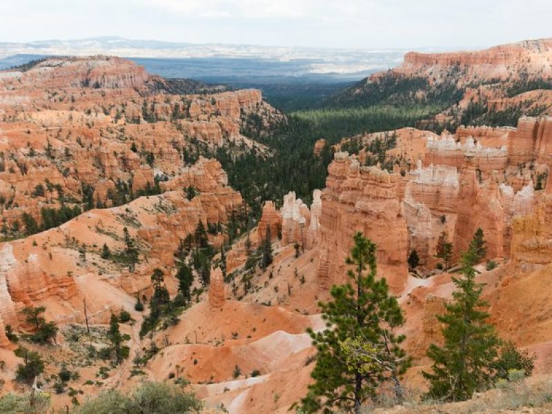 6-Day Tour to Yosemite, Las Vegas, Grand Canyon, Zion, and LA from San Francisco