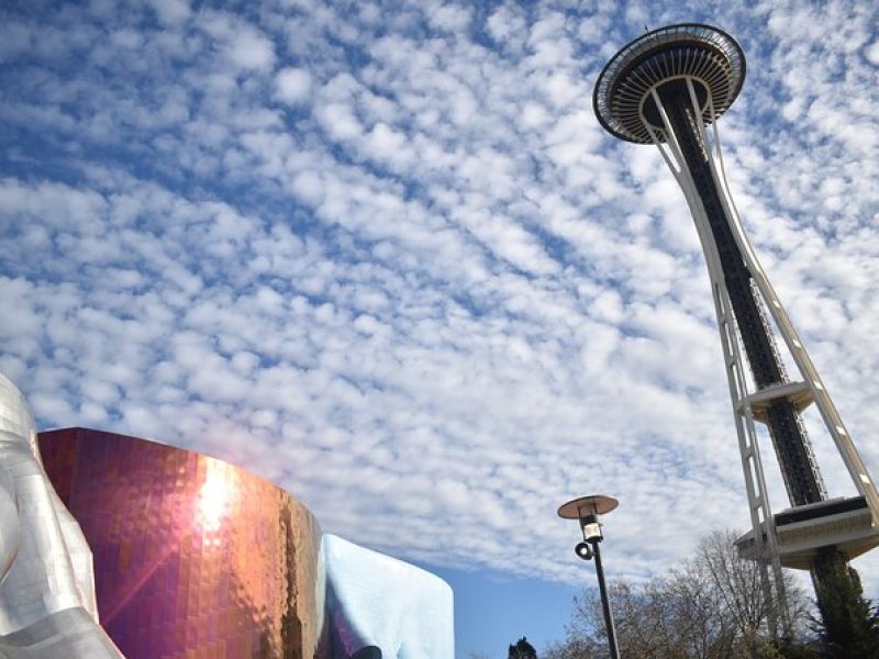 Space Needle & Seattle Center Small Group Private Walking Tour