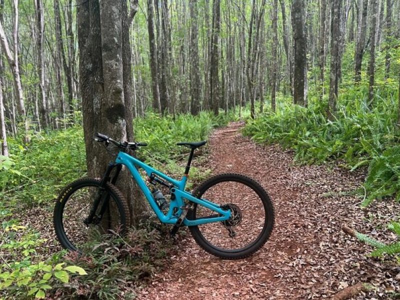 Maui MTB Singletrack on Mountain Bikes or Electric Mountain Bikes