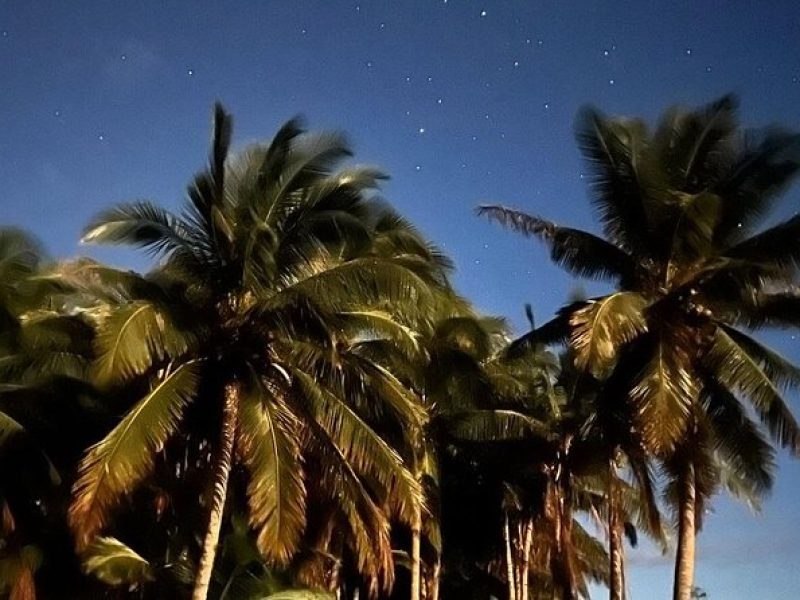 Private Guided Stargazing with BYO Barbecue in Olowalu