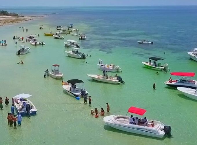 Half Day Charter Sandbar Snorkeling and Eco Adventure