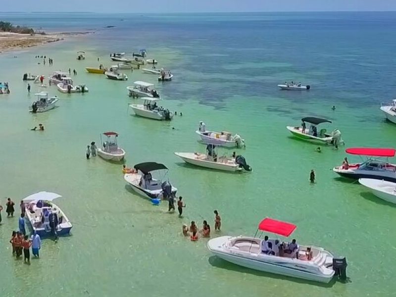 Half Day Charter Sandbar Snorkeling and Eco Adventure