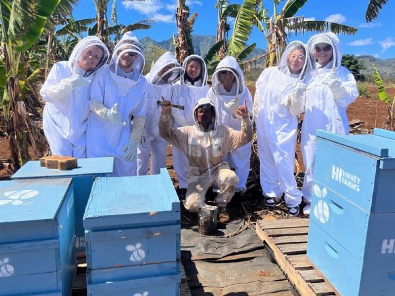 Bee Farm Ecotour and Honey Tasting in Waialua, North Shore Oahu