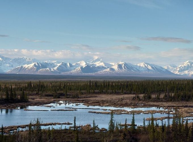 Authentical Denali Tour from Denali Park and Fairbanks