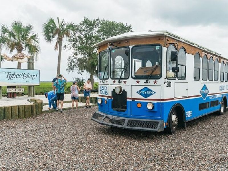 Savannah to Tybee Island with Dolphin Cruise