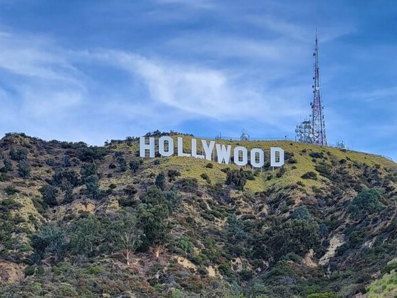 Private Half Day Hollywood Tour