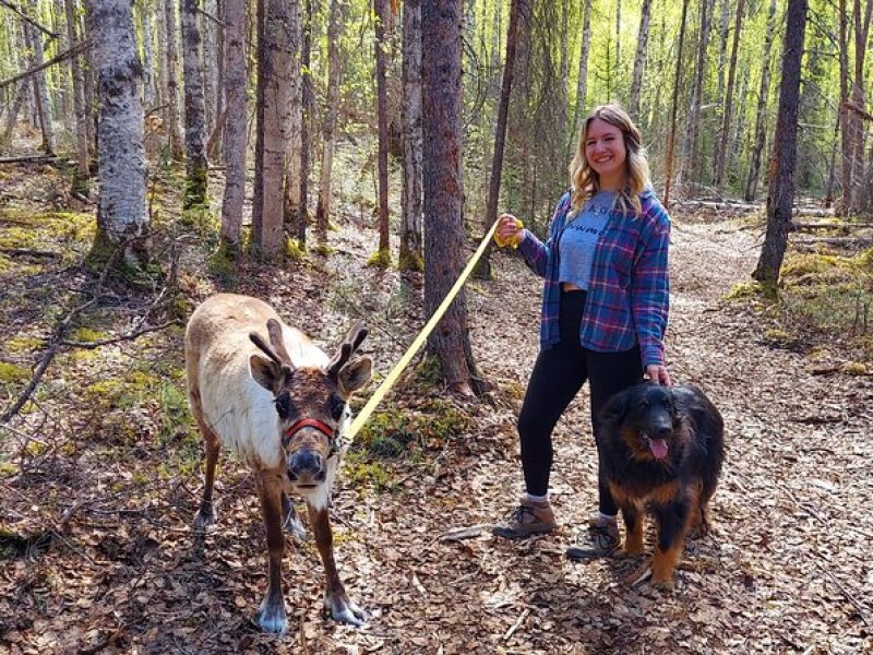 The Reindeer Grove Homestead Tour and Forage