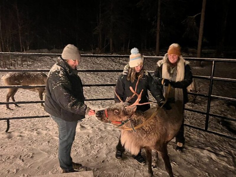 Chile and S'mores with Reindeer in Talkeetna