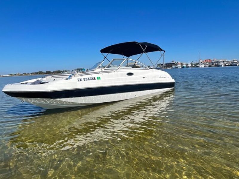 Private Boat and Dolphin Watching in Florida