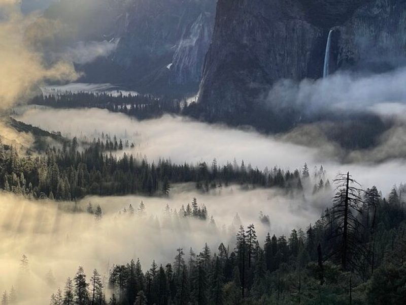 Yosemite Winter Highlights Small Group Tour