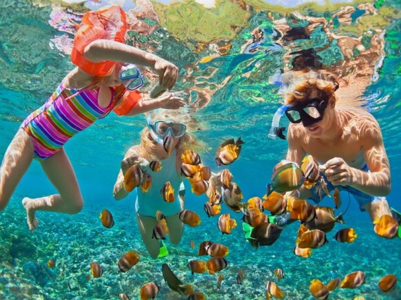 3 Hour Waikiki Snorkel Adventure