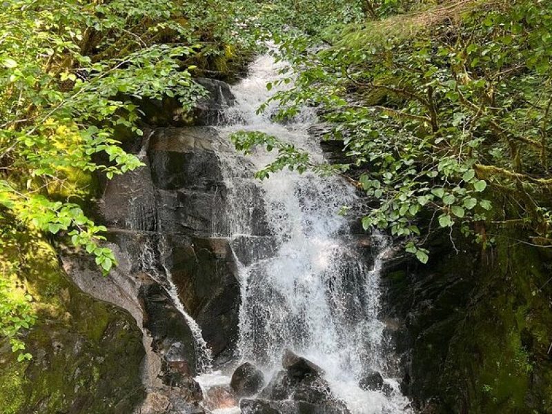 Private Ketchikan City Totems & Wildlife Van Tour