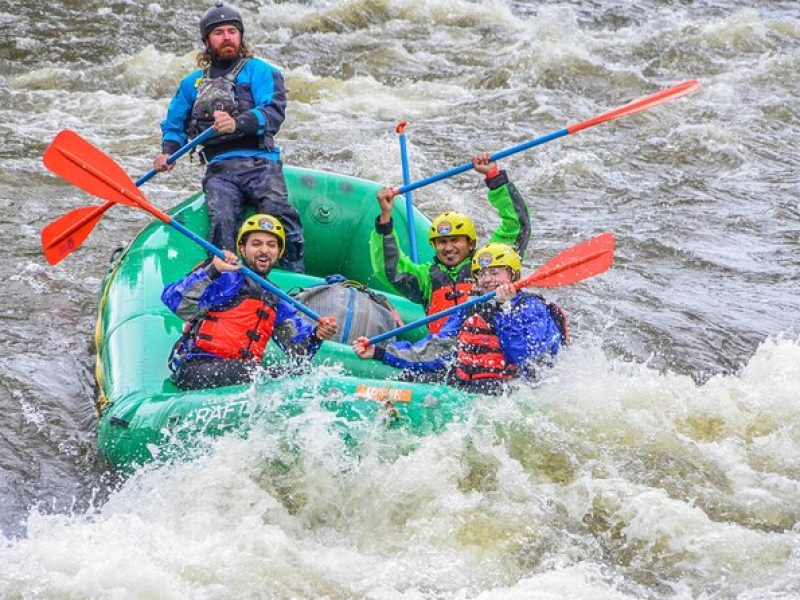 Whitewater Raft Clear Creek – Dare the Advanced Gold Rush section