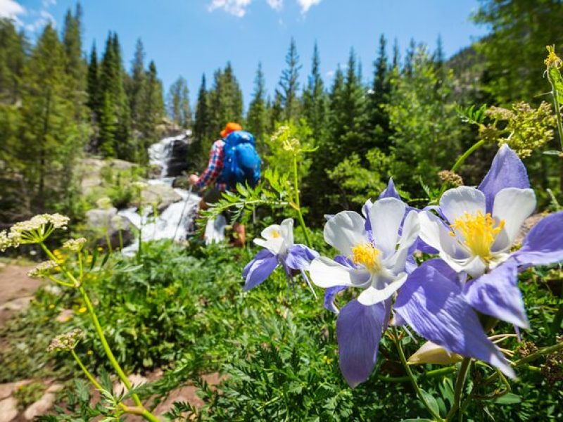 Guided Private Scenic Colorado Mountain Hiking – Half Day