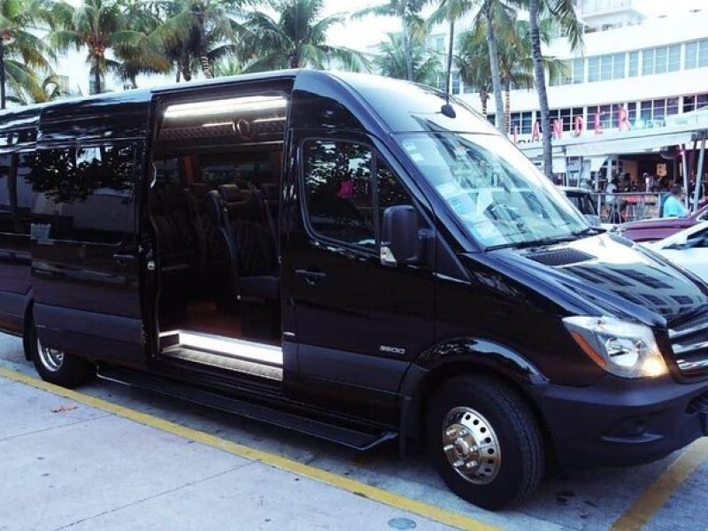 Miami City Tour From Port of Miami & Miami International Airport